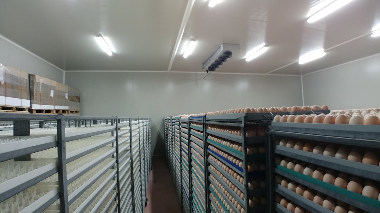 Soluzione tecnica per laboratorio refrigerato su misura